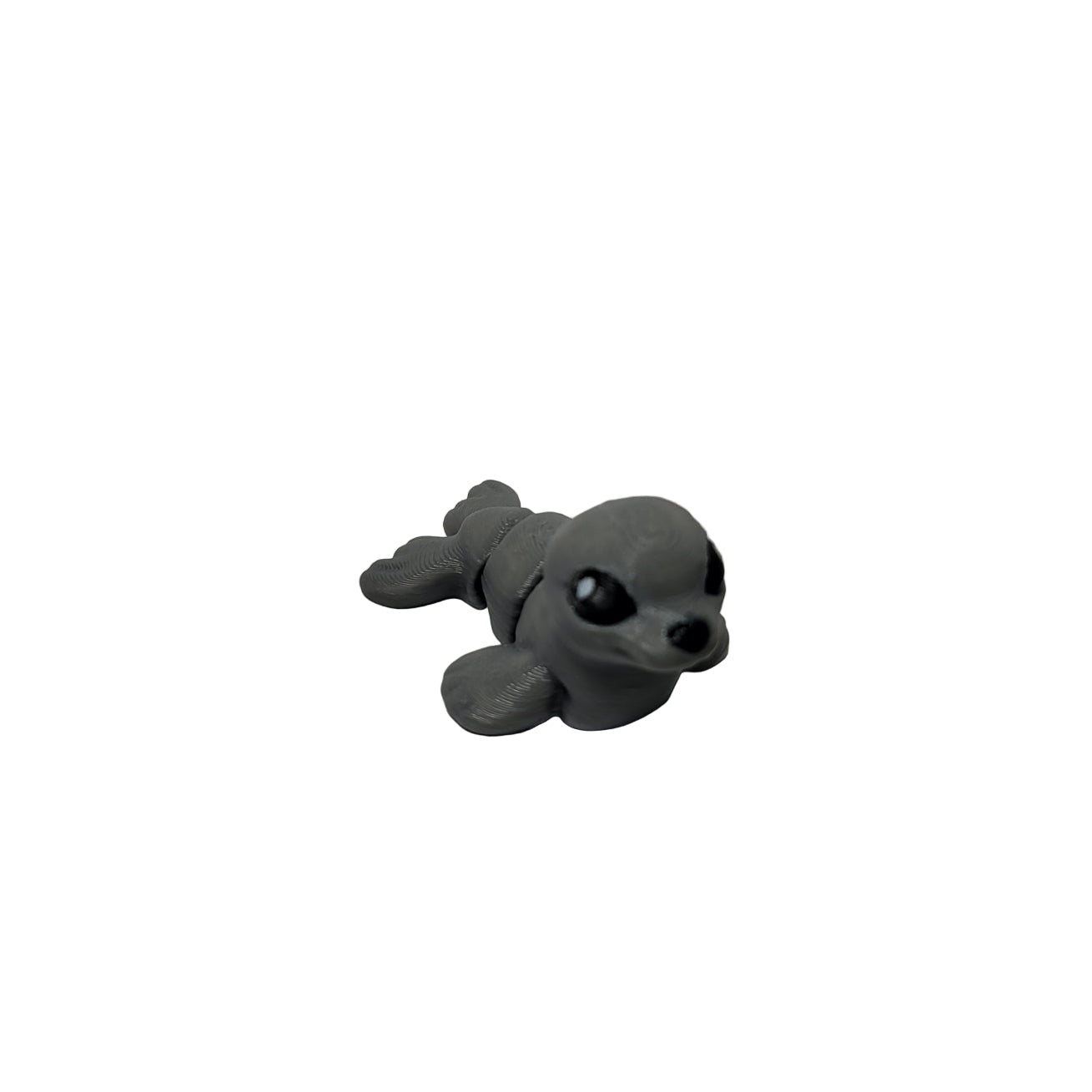 Hatchlings Sea - Seal