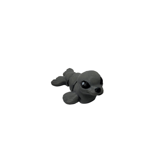 Hatchlings Sea - Seal