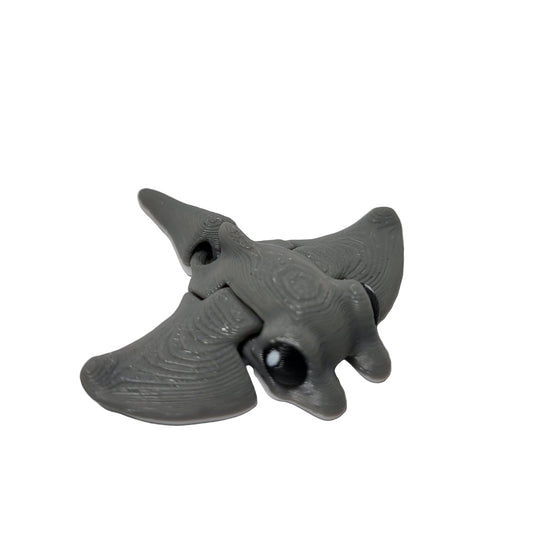 Hatchlings Sea - Manta Ray