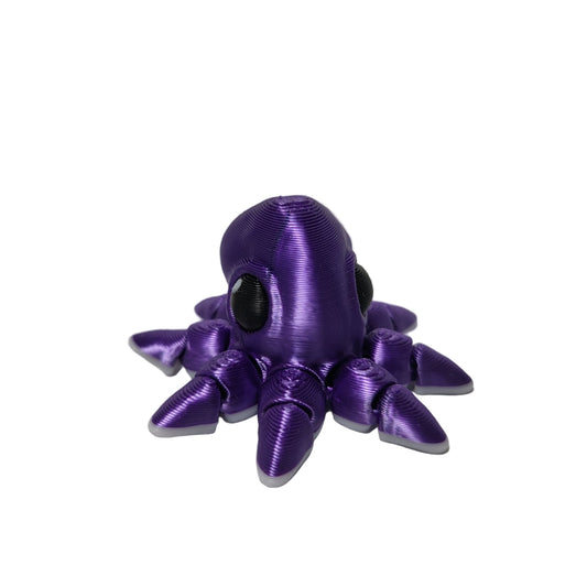 Hatchlings Sea - Octopus