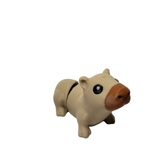 Rodents - Capybara