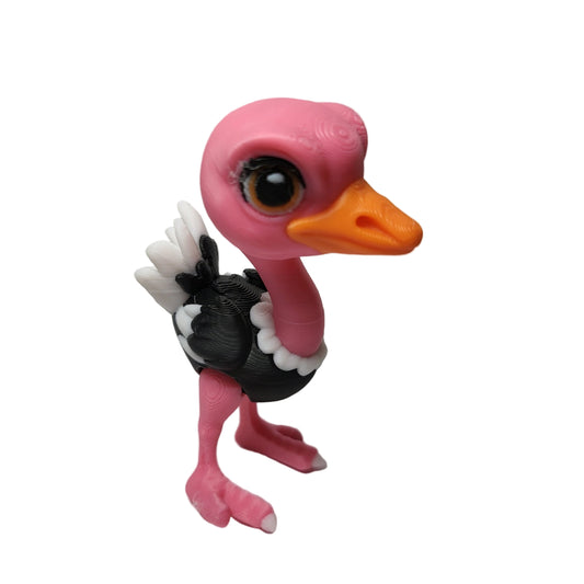 Birds - Ostrich