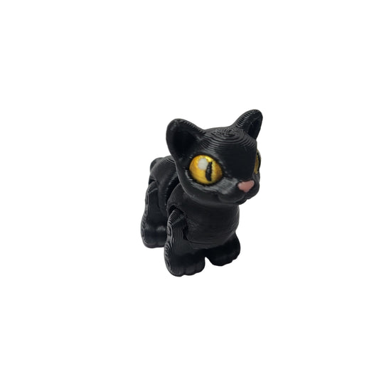 Hatchlings Spooky - Cat