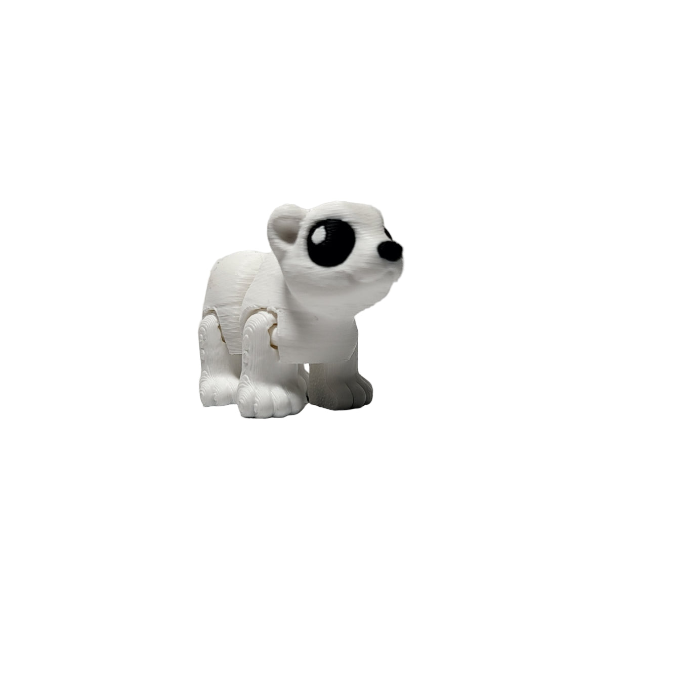 Hatchlings Arctic - Polar Bear