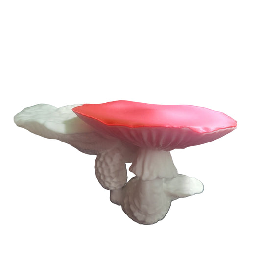 Shelves - Mushroom Shelf