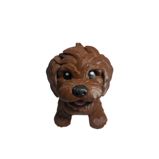 Dogs - Golden Doodle Puppy