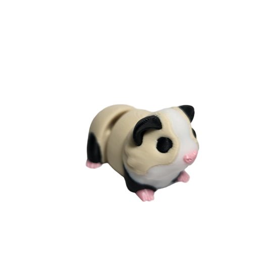 Rodents - Guinea Pig