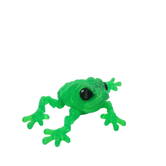 Amphibians - Toad